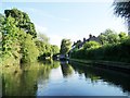 SP0579 : Sunny evening, Worcester & Birmingham Canal by Christine Johnstone
