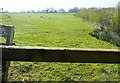 Pasture near Huntscott