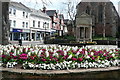 Minehead in bloom