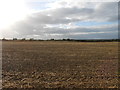 Fields at Arnolds Farm