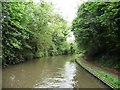 Bend on the Worcester and Birmingham Canal