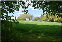 TQ3775 : Hilly Fields Park by N Chadwick