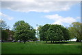 Hilly Fields Park