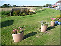 Roadside floral display