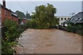 Tiverton : The River Lowman