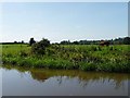 SO9667 : Canalside grazing land, near Stoke Pound by Christine Johnstone