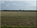 Farmland towards The Lodge