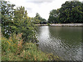 The river bank at Rush Court