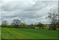 Farmland near Dilwyn, Herefordshire