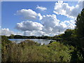 Rye Meads Nature Reserve