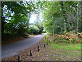 Junction of bridleway with Sheephouse Lane