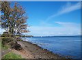 The foreshore at the northern end of Seaside Road, Killyleagh