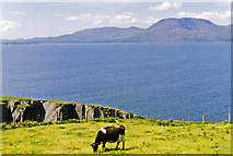 V8341 : Across Bantry Bay to Caha Mountains from road to Sheep's Head by Ben Brooksbank
