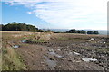 Muddy Field and Track near Frenchay Farm