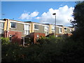 View of rear of houses on The Pines from the path in Epping Forest