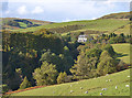 View over the Rheidol gorge