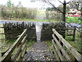 Wall-gap and footbridge on the edge of Parc Brynbach