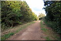 Path on the edge of Linslade Wood