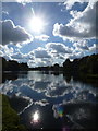 ST7734 : Stourhead: view across the lake into the sun by Chris Downer