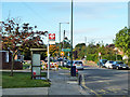 Magnolia Court bus stop