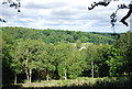 View from Hascombe Hill