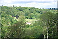 View towards Hascombe Grange