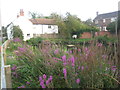 Village pond, Little Weighton