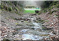 Bridleway from Kitnor Heath