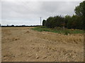 SP1750 : Fields next to Sheep Leys Farm by Nigel Mykura