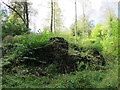 NY7959 : Remains of lime kiln on Carling Haugh (2) by Mike Quinn
