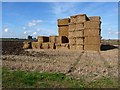 TF1268 : Straw bales near Bardney by Oliver Dixon