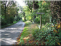 View along Station Road on the way to Flordon