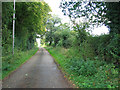 Access road to Flordon Hall