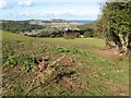 Field with footpath