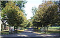 Glasgow Green