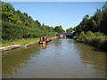 Grand Union Canal: Reach near The Cape