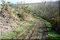 Footpath to Prescott