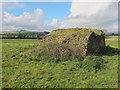 Tile kiln near Sillywrea Farm (3)