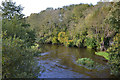 The Teifi below Pont Llanio