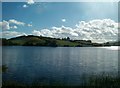 View south across Loughinisland Lake