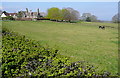 Paddock at West Quantoxhead