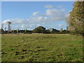 Fields near Laleham