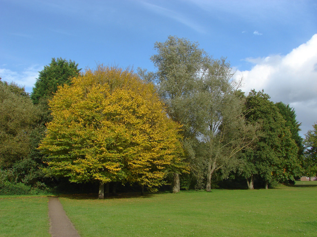 Goldsworth Park recreation ground © Alan Hunt :: Geograph Britain and ...