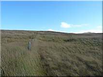 NN6834 : Fence on the hillside of Meall nan Oighreag by Richard Law