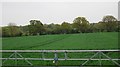 Farmland by Newbridge Rd