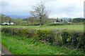 Pasture at Hendy Farm