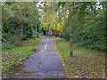 Footpath and cycleway to Blossomfield Road