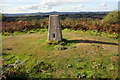 SY5092 : Trig point on Shipton Hill by Roger Templeman