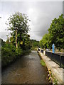 River Medlock - Daisy Nook - Oldham