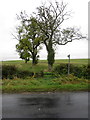 Footpath to Dorcas Farm